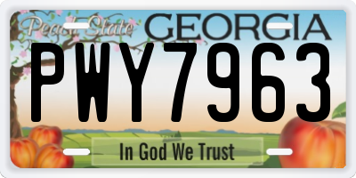 GA license plate PWY7963