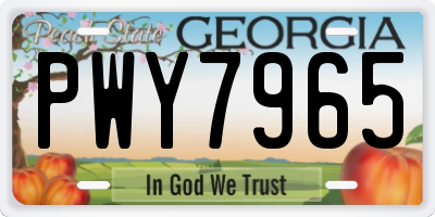 GA license plate PWY7965