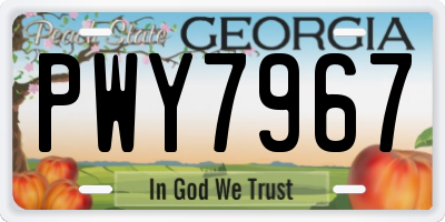GA license plate PWY7967