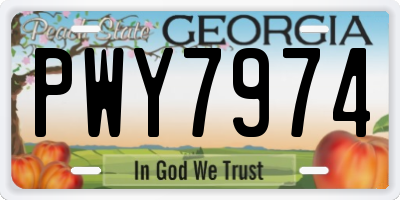 GA license plate PWY7974