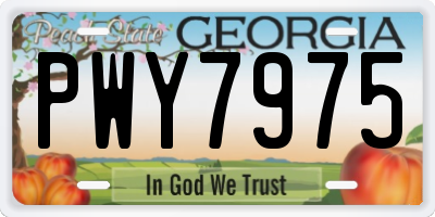 GA license plate PWY7975