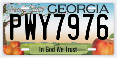 GA license plate PWY7976