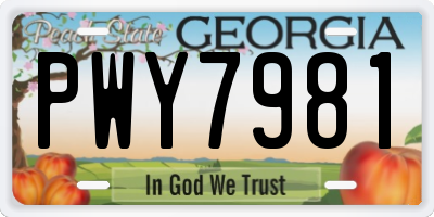 GA license plate PWY7981