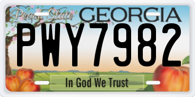 GA license plate PWY7982