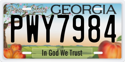 GA license plate PWY7984