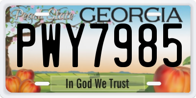 GA license plate PWY7985