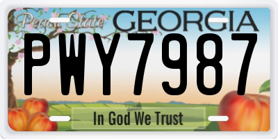 GA license plate PWY7987