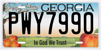 GA license plate PWY7990