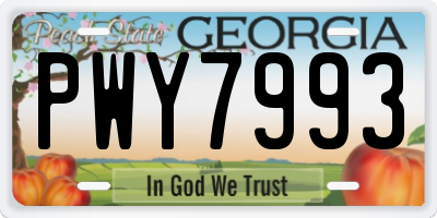 GA license plate PWY7993