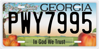 GA license plate PWY7995
