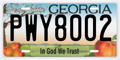GA license plate PWY8002