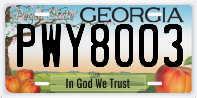 GA license plate PWY8003