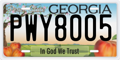 GA license plate PWY8005