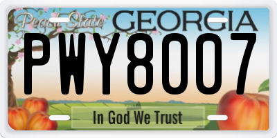 GA license plate PWY8007