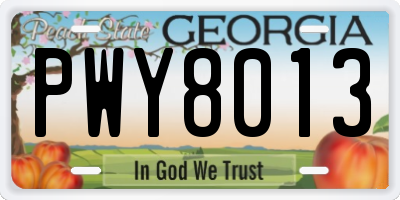 GA license plate PWY8013