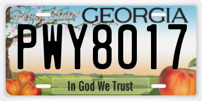 GA license plate PWY8017