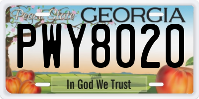 GA license plate PWY8020