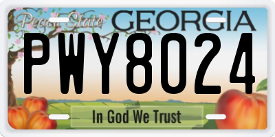 GA license plate PWY8024