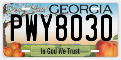 GA license plate PWY8030