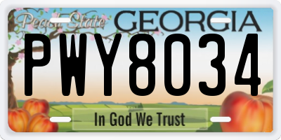 GA license plate PWY8034