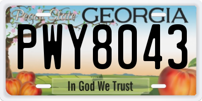 GA license plate PWY8043