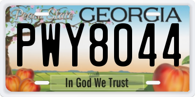GA license plate PWY8044