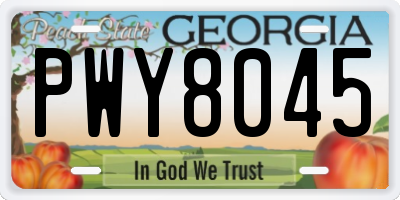 GA license plate PWY8045