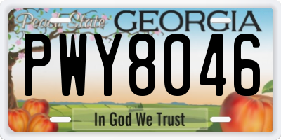 GA license plate PWY8046