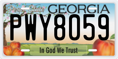GA license plate PWY8059