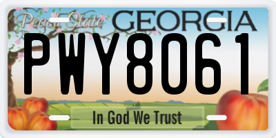 GA license plate PWY8061