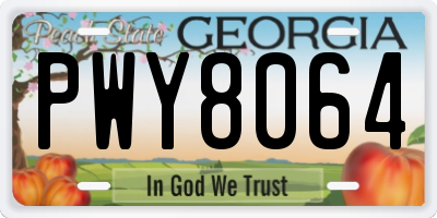 GA license plate PWY8064
