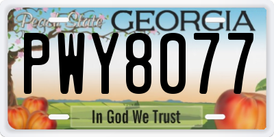 GA license plate PWY8077