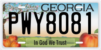 GA license plate PWY8081
