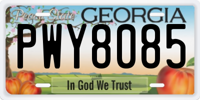 GA license plate PWY8085