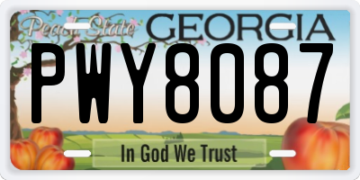 GA license plate PWY8087