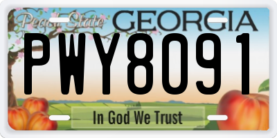 GA license plate PWY8091