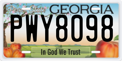 GA license plate PWY8098