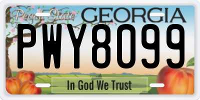 GA license plate PWY8099