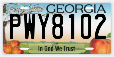 GA license plate PWY8102
