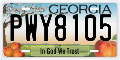 GA license plate PWY8105