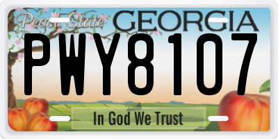 GA license plate PWY8107