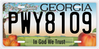 GA license plate PWY8109