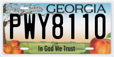 GA license plate PWY8110