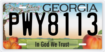 GA license plate PWY8113