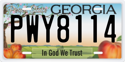 GA license plate PWY8114