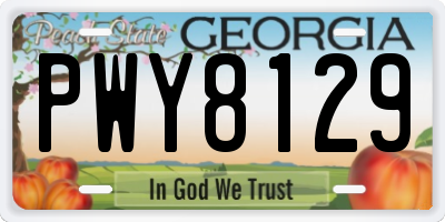 GA license plate PWY8129