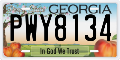 GA license plate PWY8134