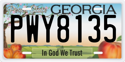 GA license plate PWY8135