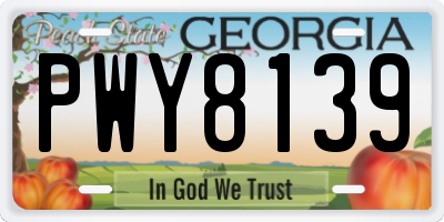 GA license plate PWY8139