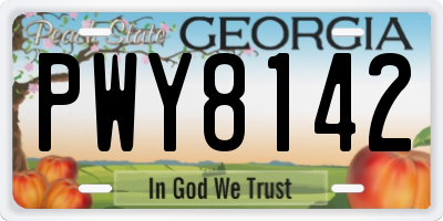 GA license plate PWY8142